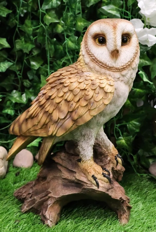 �ꥢ��ʼ���������ʪ �ڤ��ڤ���ˤȤޤ���ե�����Ħ�� ���饹������ʪĦ�� ���ե� £��ʪ ͢����