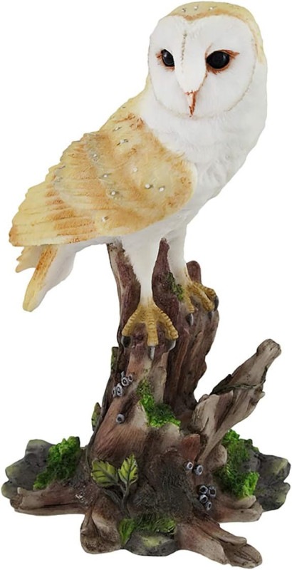 �ڤ��ڤ���ˡ����տ����ߤޤ���ե�������ʪĦ�� ����ưʪ�ե����奢 �ۡ���ǥ� ���ե� £��ʪ ͢����