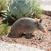 ޥ ⳰ǥưʪĦ եĦ ϥ󥿡 å ȥץ쥼£ʪ ͢