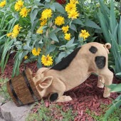 ХĤƬͤùǤڤĦ ڤΤ륬ǥĦ ڤ󲰳֥ե奢ưʪƥꥢ£ʪ ͢