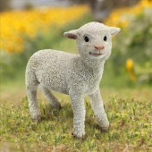 ΩäƤॻȤ̾λӤĦ ҥĥ󥪥֥ ۡե奢ưʪإƥꥢ£ʪ ͢