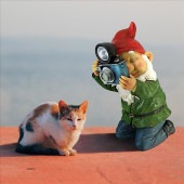 ���ޥ���ե����ߡ������顼�����ǥ�Ρ���Ħ�������򤫤ޤ��뾮�Ͳ��������ȥɥ�����Ħ�索�֥����ե����奢£��ʪ͢����