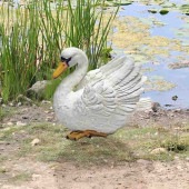 ФĻ ǥĦ ʥ ॢ˥ޥ륪֥ ƥꥢĦ   ץ쥼£ʪ ͢