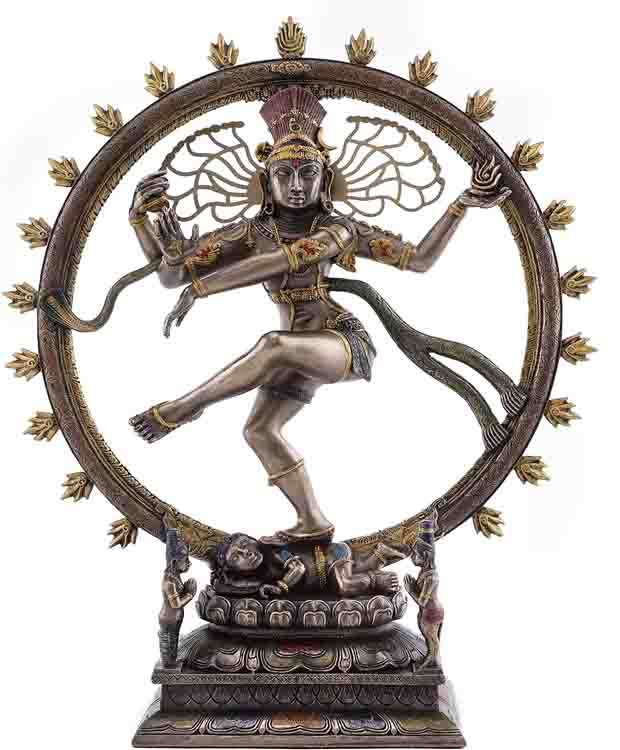 ٤ʥ饸㥷̵λǤܤʥҥ󥺡Ħ֥⤵26cmĦʪ£ʪ͢