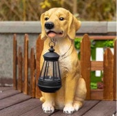 �����顼�饤�ȤΥ��פ���������ȥ�С���Ħ���������������ǥ�ǥ����४���ʥ��ȥѥƥ����������۽ˤ����ե�£��ʪ͢����