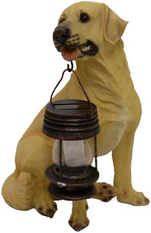 �����顼�饤���դ���󥿥����������֥�ɡ����ȥ�С���Ħ���������������ǥ�ǥ��������£��ʪ͢����