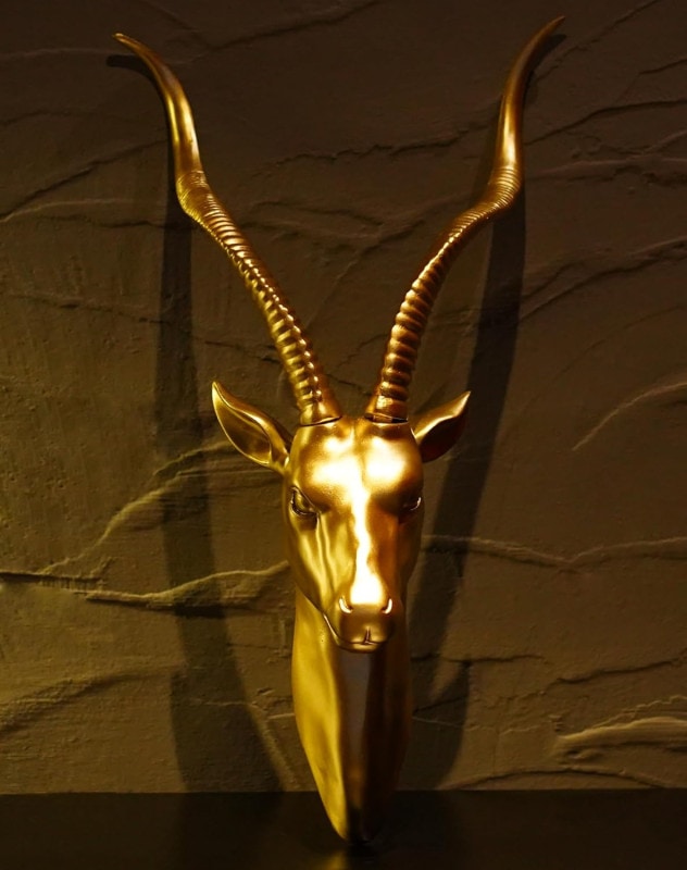 �緿����ƥ����ץ�����ɿ���Ħ��Ħ���ɳݤ�ưʪ��Ƭ�����˥󥰥롼������£��ʪ͢����