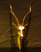 �緿����ƥ����ץ�����ɿ���Ħ��Ħ���ɳݤ�ưʪ��Ƭ�����˥󥰥롼������£��ʪ͢����