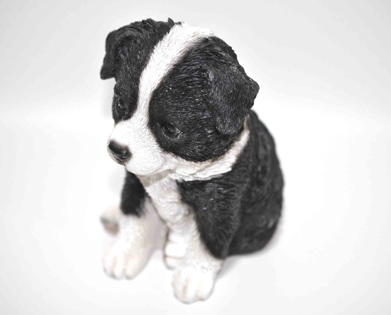 �ܡ��������꡼���֤���󥳥꡼�Ҹ�Ħ��ưʪĦ�拾�쥯����󥬡��ǥ�ǥ��졼�����ץ쥼���£��ʪ͢����