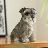 �ꥢ��ʥߥ˥��奢������ʥ�����Ħ�� �ꥢ����ӤΥƥ������㡼 �İ�������ʥ������� ��,����,����,���������˺�Ŭ �������� �ɥå�����Ħ��