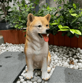 �ꥢ��ʼƸ�Ħ�� �ꥢ����ӤΥƥ������㡼 �İ����Ƹ� ��,����,����,���������˺�Ŭ �������� �ɥå�����Ħ��