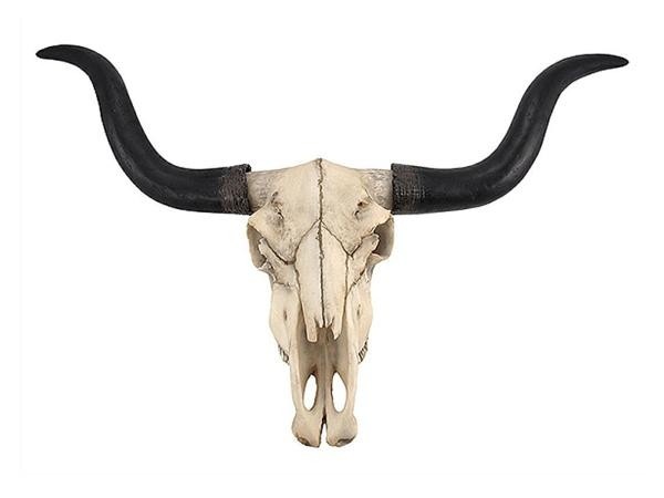 ���󥰥ۡ���ʲ�����Ƭ�� ��ץꥫ �ɳݤ� Ħ�� Ħ��/ Long Horn Cow Skull Wall Hanging Longhorn Steer(͢����