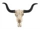 ���󥰥ۡ���ʲ�����Ƭ�� ��ץꥫ �ɳݤ� Ħ�� Ħ��/ Long Horn Cow Skull Wall Hanging Longhorn Steer(͢����