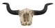 ���󥰥ۡ���ʲ�����Ƭ�� ��ץꥫ �ɳݤ� Ħ�� Ħ��/ Long Horn Cow Skull Wall Hanging Longhorn Steer(͢����