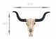 ���󥰥ۡ���ʲ�����Ƭ�� ��ץꥫ �ɳݤ� Ħ�� Ħ��/ Long Horn Cow Skull Wall Hanging Longhorn Steer(͢����