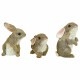 ������(����������)��Ħ�����Хˡ��ǥ� �����ǥ�Ħ��/ Design Toscano The Bunny Den Garden Rabbit Statues, Multicolored(͢����
