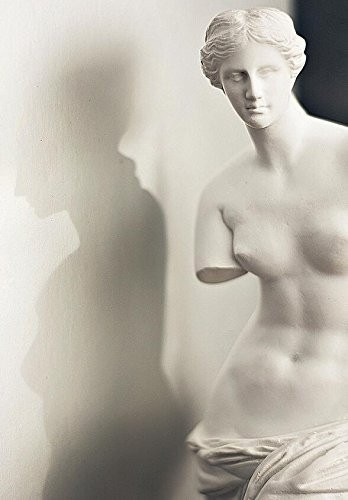 �ߥ��Υ������ʥ��ʥ��ե��ǥ����ơ��������� Ħ�� Ħ��/ Aphrodite of Melos Statue Venus De Milo Reproduction Statue(͢����