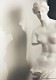 �ߥ��Υ������ʥ��ʥ��ե��ǥ����ơ��������� Ħ�� Ħ��/ Aphrodite of Melos Statue Venus De Milo Reproduction Statue(͢����