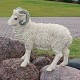 �ǥ����󡦥ȥ������� �Ѥ���ä� �ɡ����å��� �ҥĥ� Ħ�� Ħ��/ Horned Dorset Sheep Statue(͢����