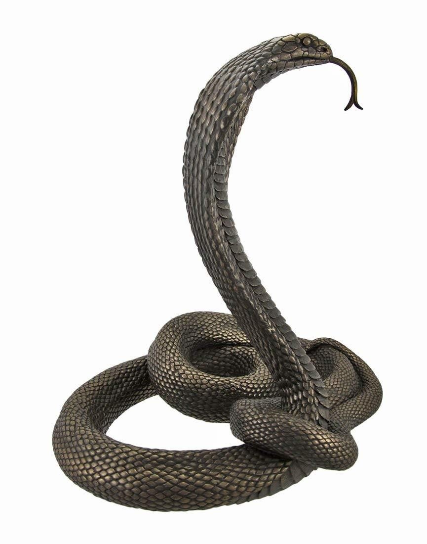 �礭�ʥ��󥰥��֥�Ħ�� Ħ�� �Ǽإ��͡��� �����֥�����/ Large Bronzed King Cobra Statue(͢����