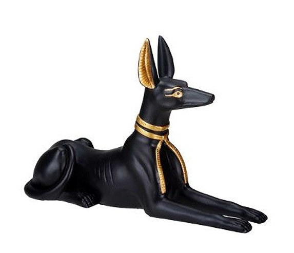 �����ץȤ��礤�ʤ�¤륢�̥ӥ����ʸ��ˤ�Ħ��/ �ԥ�ߥå� ���� ���� �ʥ����� ���� ���Ϥμ�� ��ؤο� ̽���μ� �ץ쥼���£ʪ��͢���ʡ�