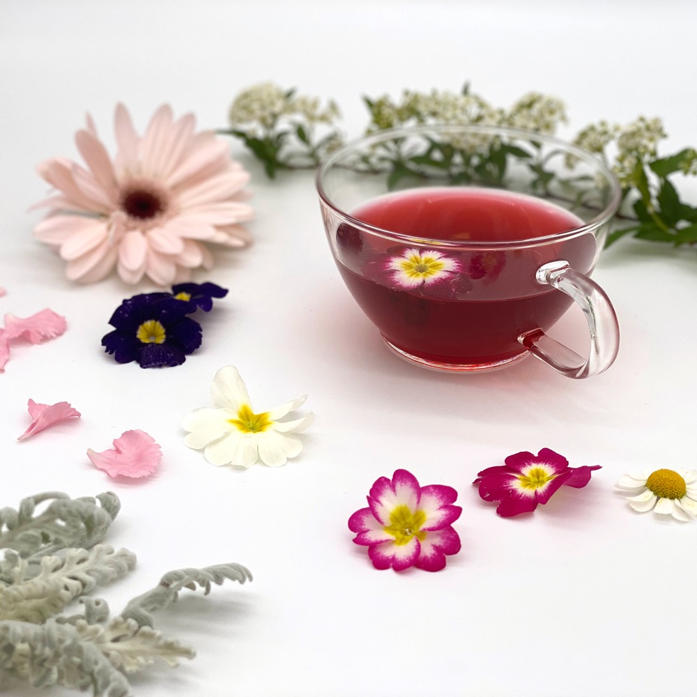 【宅配便】ロンネフェルト シュルマートルンク 500g