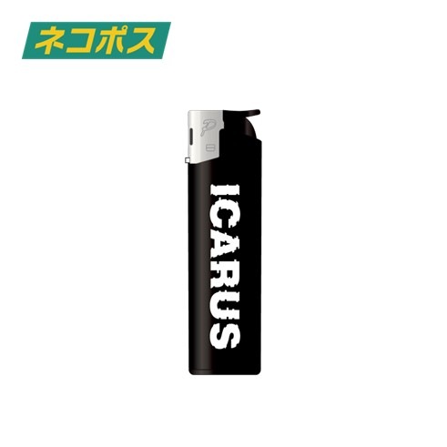 ICARUS �����饤����