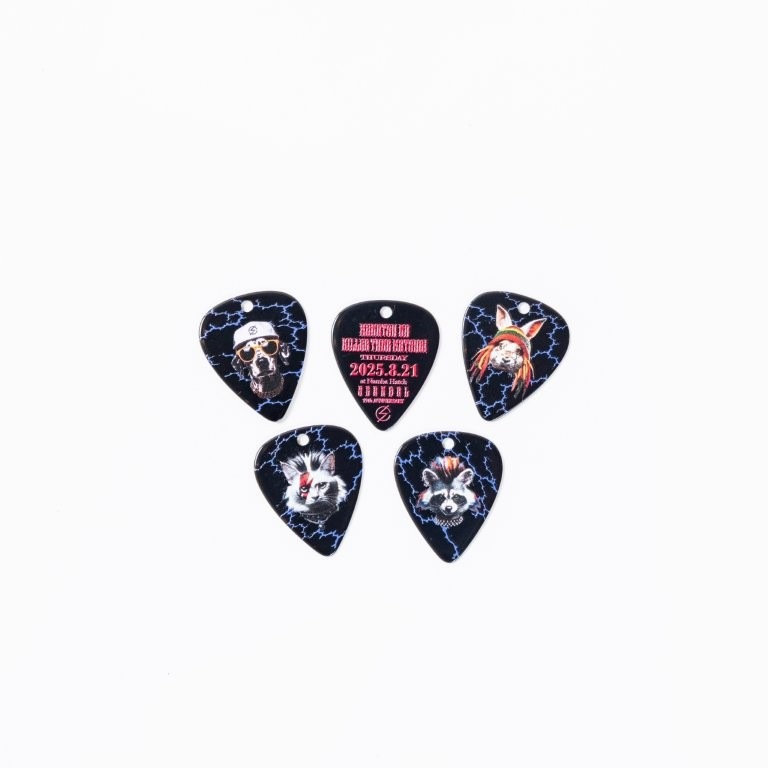 �ԥå������ۥ�������å�