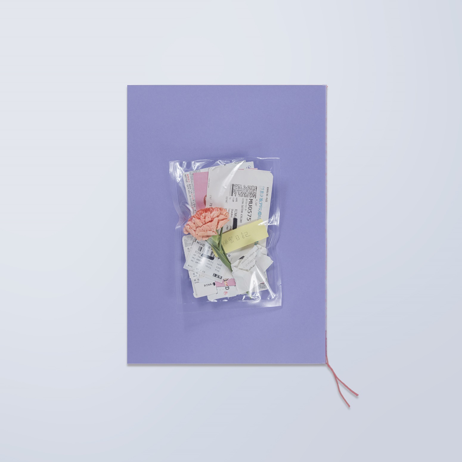 RINA 4th ZINE ����̩������