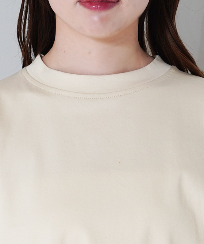 SALTPLUS JAPAN LUXURY JERSEY切替クルーネックTOPS