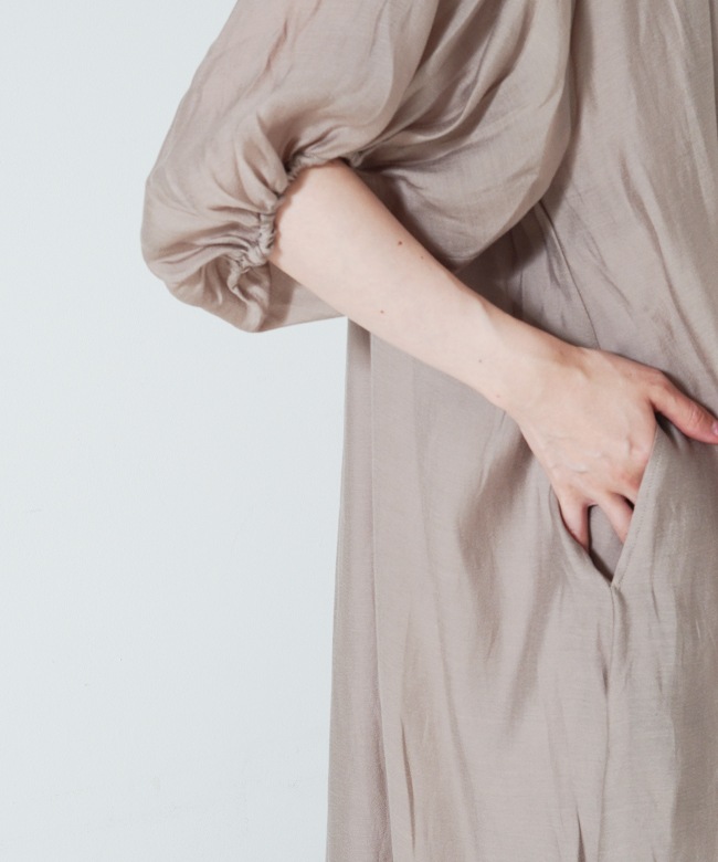 Elegant Draped Dress