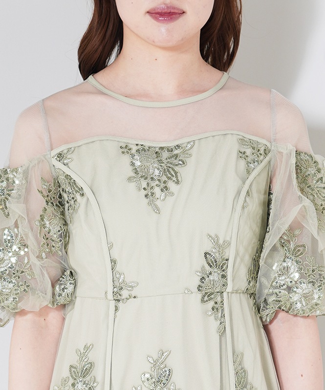 Embroidered sheer dress