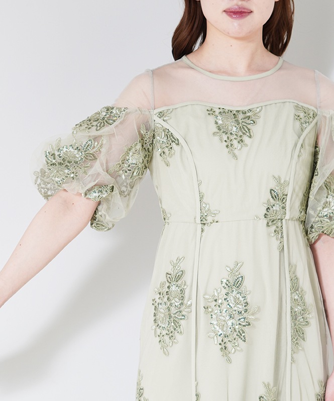 Embroidered sheer dress