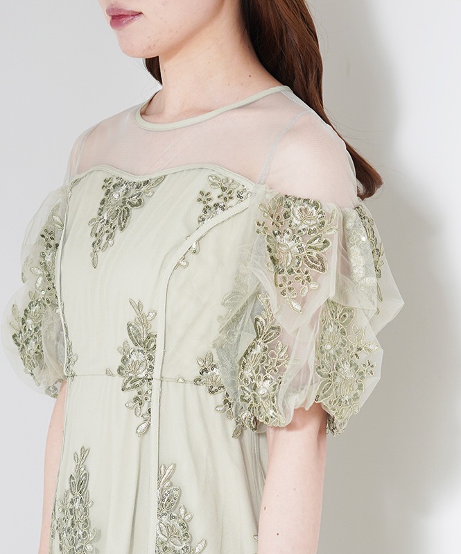 Embroidered sheer dress