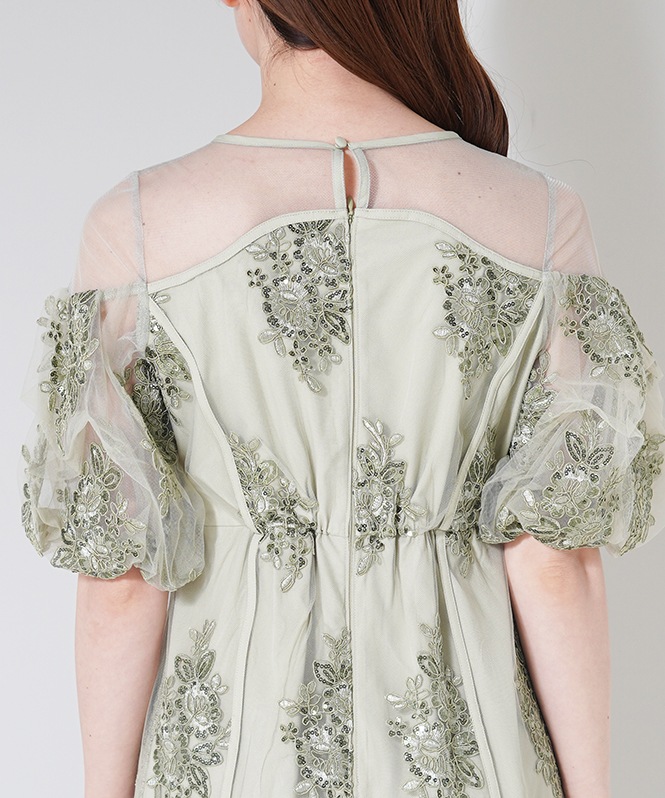 Embroidered sheer dress