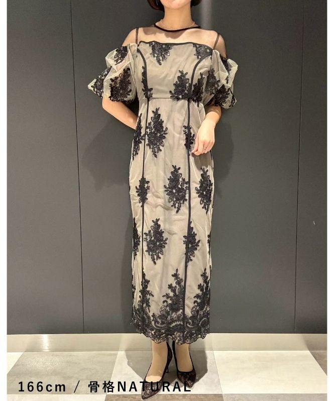 Embroidered sheer dress