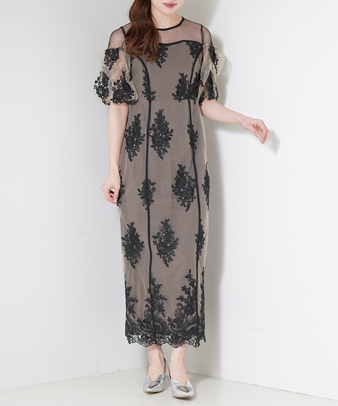 Embroidered sheer dress