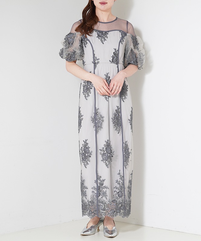 Embroidered sheer dress