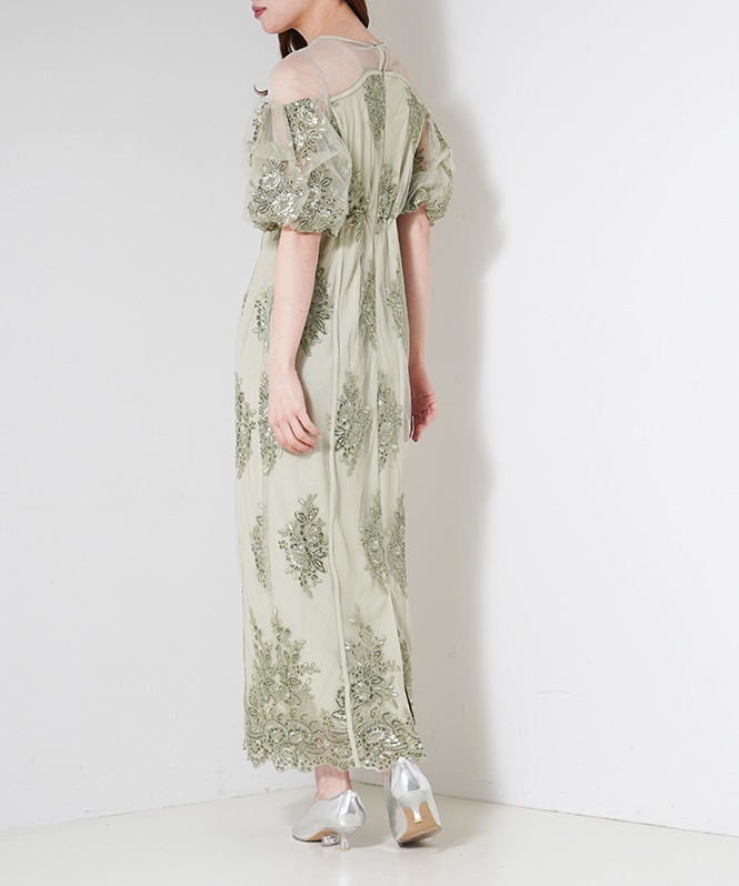 Embroidered sheer dress