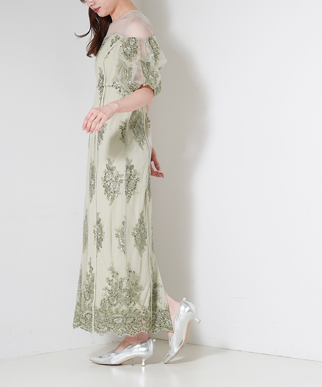 Embroidered sheer dress