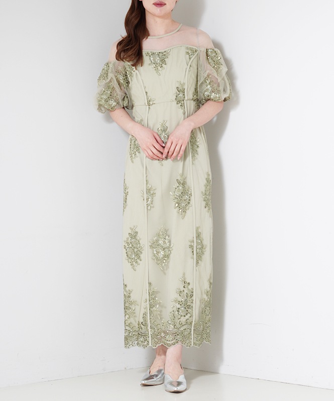 Embroidered sheer dress
