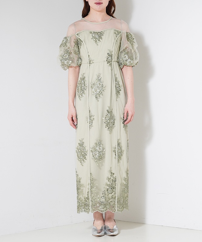 Embroidered sheer dress