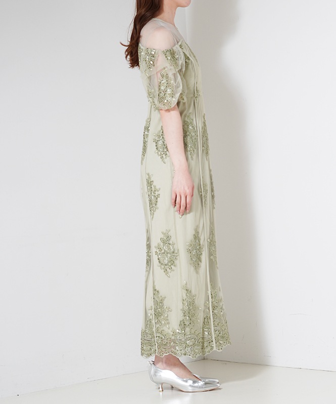Embroidered sheer dress