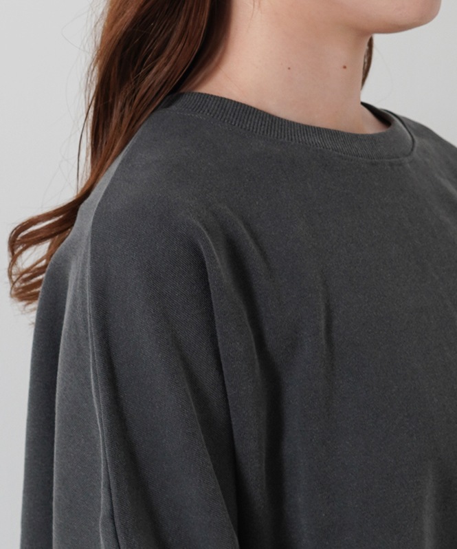 ピグメントドルマンスリーブプルオーバー