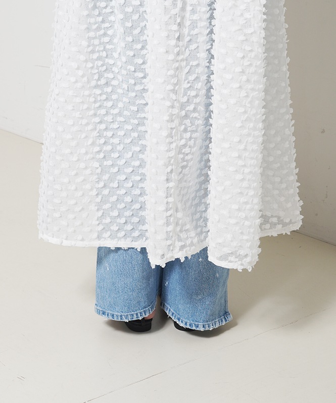 2Way Dot Sheer Dress