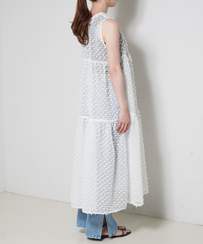 2Way Dot Sheer Dress