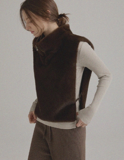 デイツ ハイネック ファーベスト