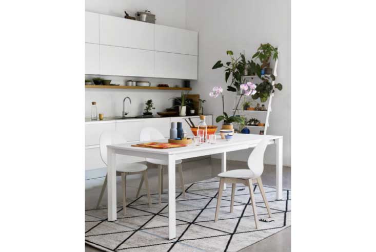 ダイニングチェア Calligaris(カリガリス) Basil(バジル) ウッド