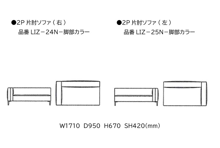 ソファ エスティック リズ 2P 片肘ソファ estic LIZ 2P One Arm Sofa