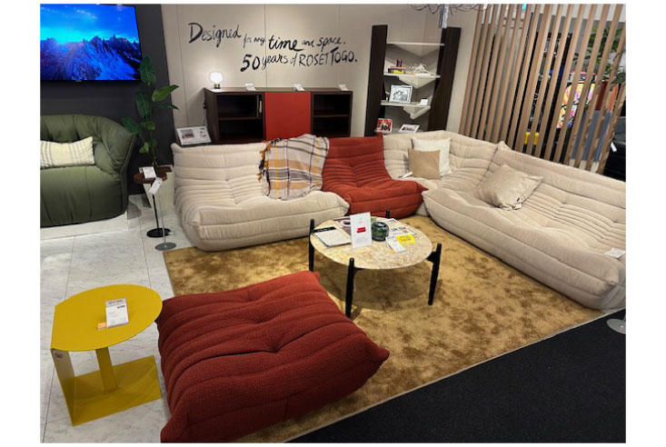 フェアー企画 リビングソファ ligne roset(リーン・ロゼ